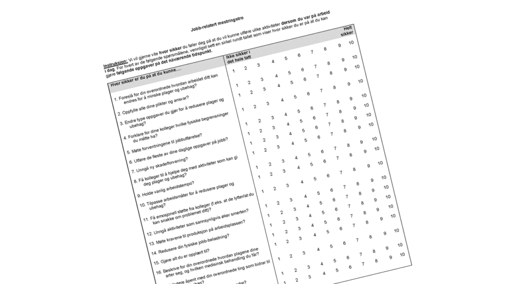 Skjermdump av spørreskjemaet jobbrelatert mestringstro