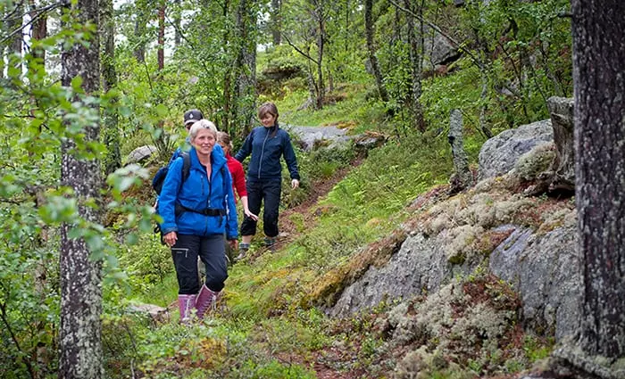Deltakere på AiR. Foto: Luke Tennant