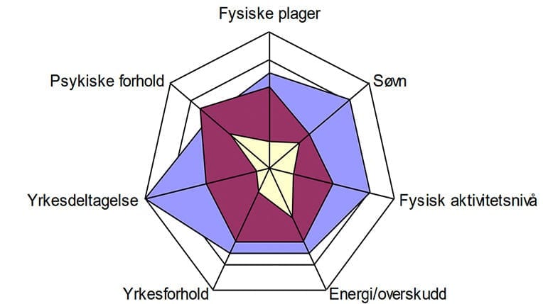 Ny kartleggingmåte avdekker pasientens utfordringer